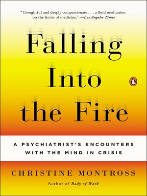 cover image of Falling Into the Fire